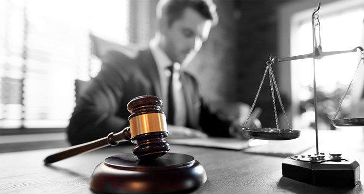 Legal & Taxation Support